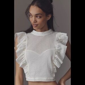 Anthropologie Maeve Crop Ruffle Mesh Top